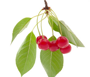 Similar image 773886