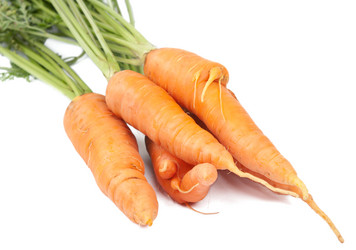 Similar image 773909