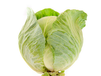 Similar image 773915