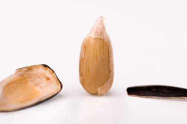 Similar image 773916