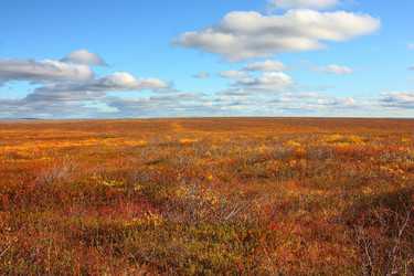 Similar image 773919