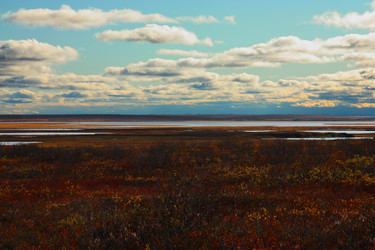 Similar image 773922