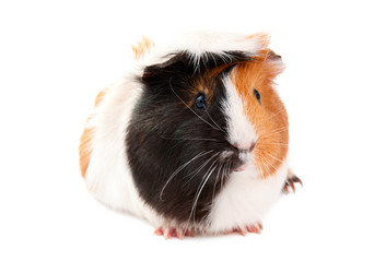 Similar image 773940