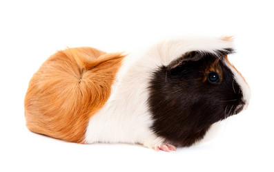 Similar image 773941