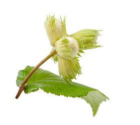 Similar image 773954