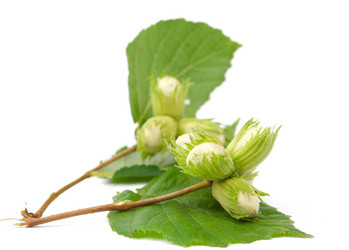 Similar image 773955