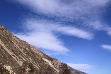 Similar image 773958