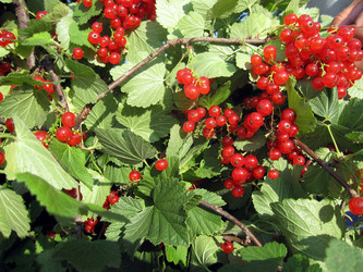 Similar image 774043