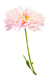 Similar image 774109