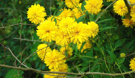 Similar image 774110