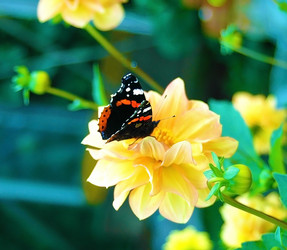 Similar image 774112