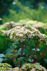 Similar image 774114