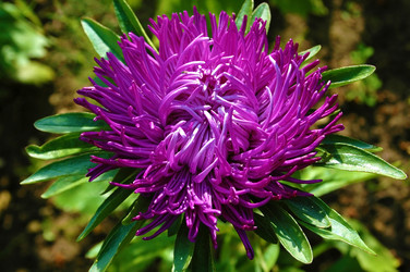 Similar image 774117