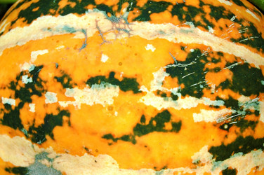 Similar image 774121