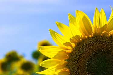 Similar image 774130