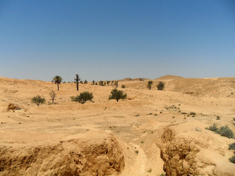 Similar image 774145