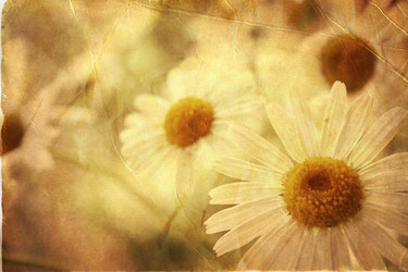 Similar image 774146