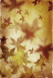 Similar image 774149