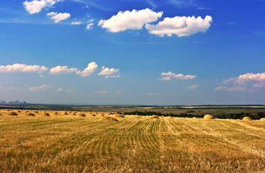 Similar image 774150