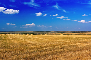 Similar image 774152