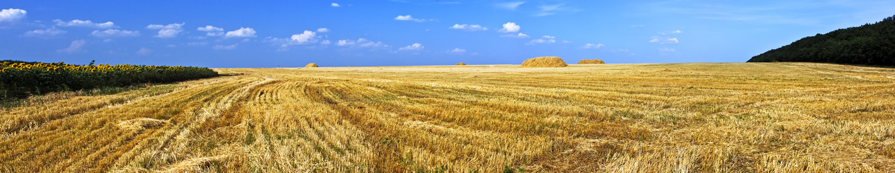 Similar image 774153