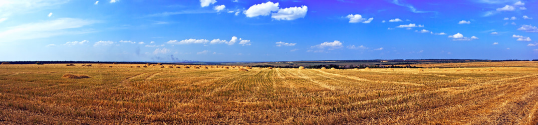 Similar image 774154