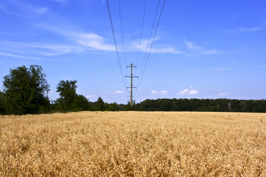 Similar image 774225