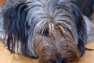 Similar image 774230