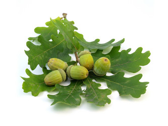 Similar image 774315