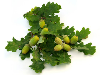 Similar image 774319