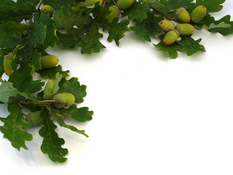 Similar image 774323