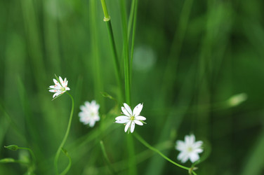 Similar image 774432