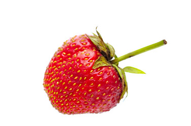 Similar image 774457