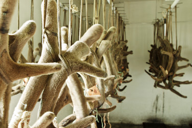 Similar image 774480