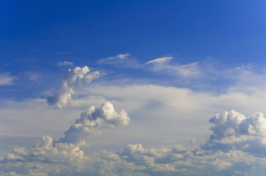 Similar image 774483