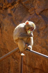 Similar image 774513