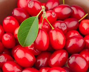 Similar image 774530