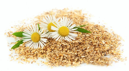 Similar image 774538