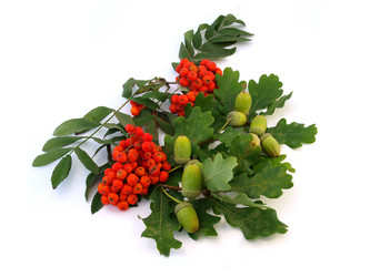 Similar image 774553