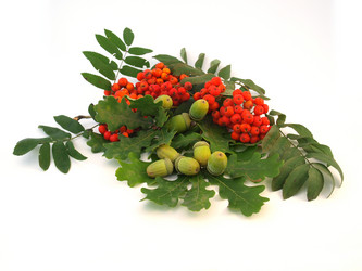 Similar image 774554