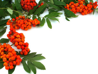 Similar image 774557