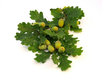 Similar image 774558