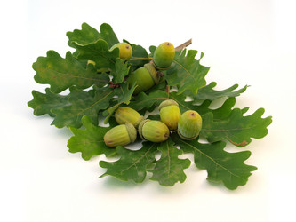 Similar image 774559