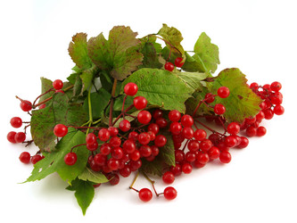 Similar image 774562