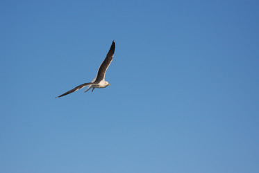 Similar image 774644