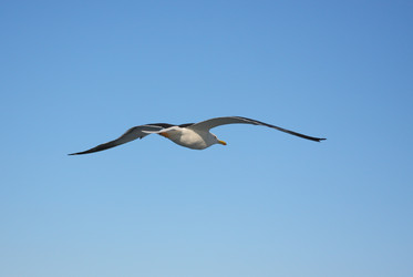 Similar image 774647