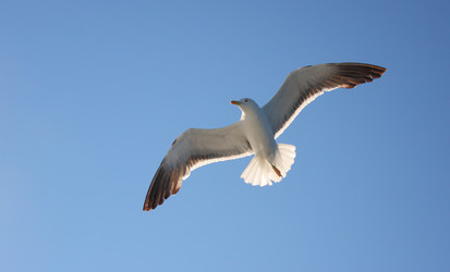 Similar image 774659