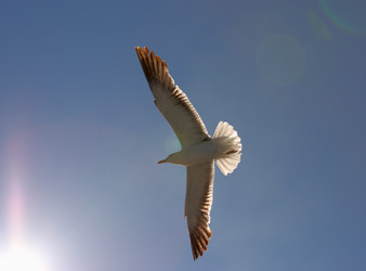 Similar image 774662