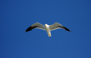 Similar image 774665