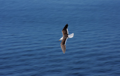 Similar image 774668